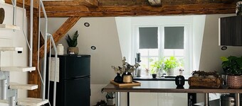 Apartment 'Rosenzauber Loft' with Private Garden, Balcony and Wi-Fi