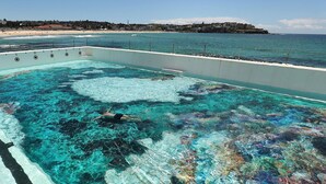 A swimming pool with clear water and a person swimming, surrounded by a cityscape and beach. - 250SQM Cosy Bondi Escape Luxe 3BR & Parking (Bondi Beach)