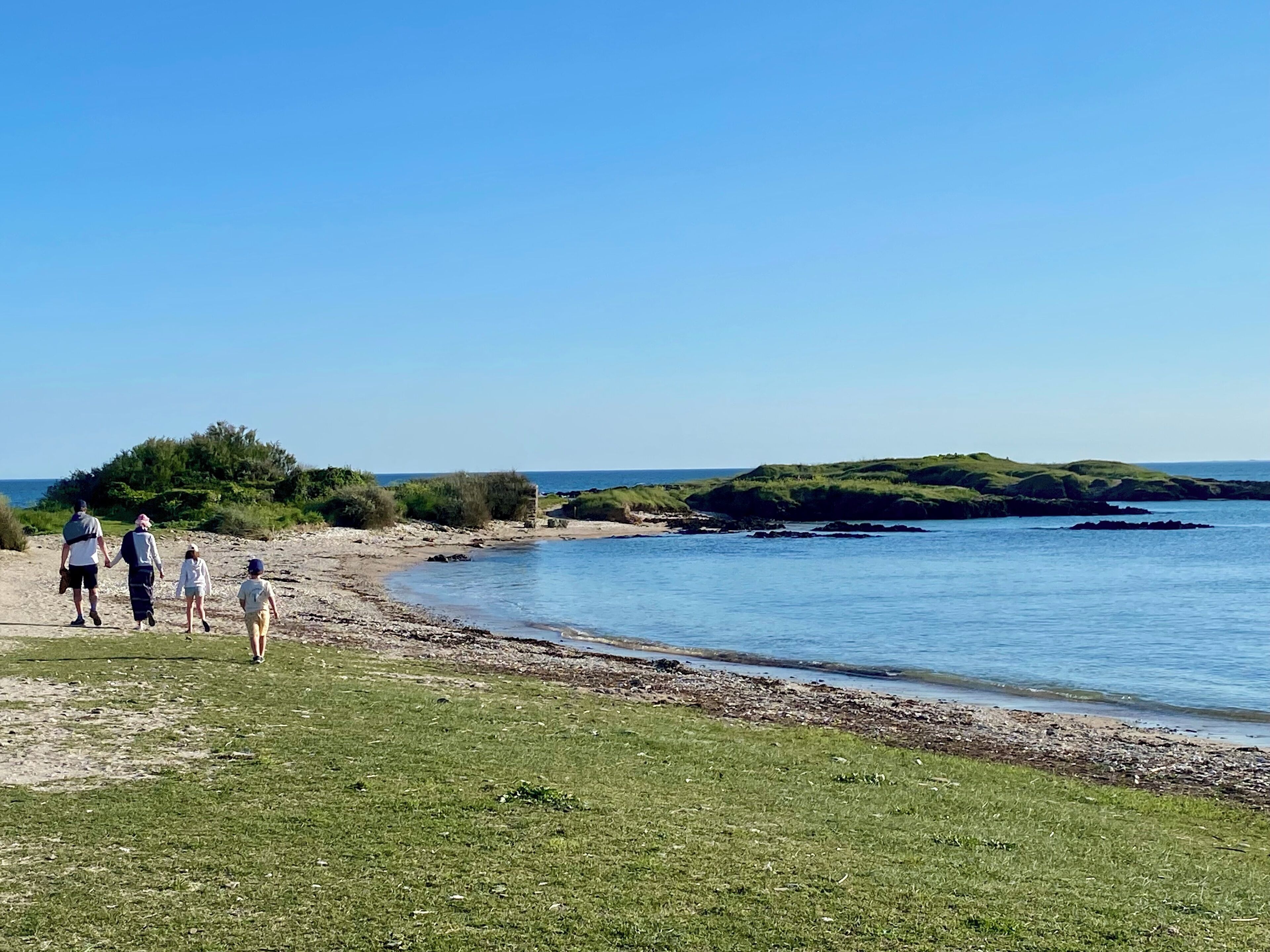 A beach scene with a grassy area and rocky shoreline.