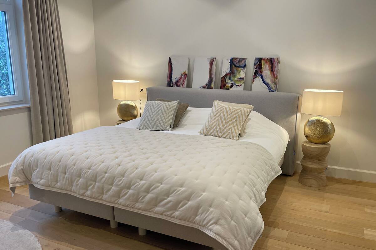Master Deluxe Room | Iron/ironing board (on request), WiFi (free)