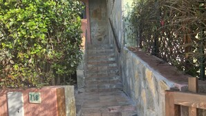Una scala in pietra che conduce a una porta, circondata da fitta vegetazione.
