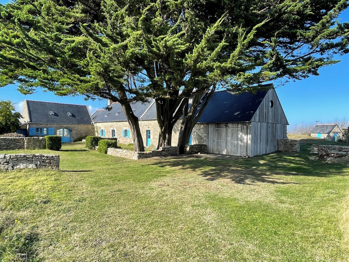 Imagem do perfil do anfitrião