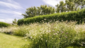Ein Garten mit verschiedenen Blumen und grünen Hecken.