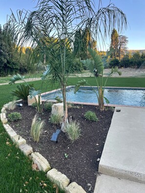 Property grounds - Le Mas des jours heureux  (Saint-Rémy-de-Provence)