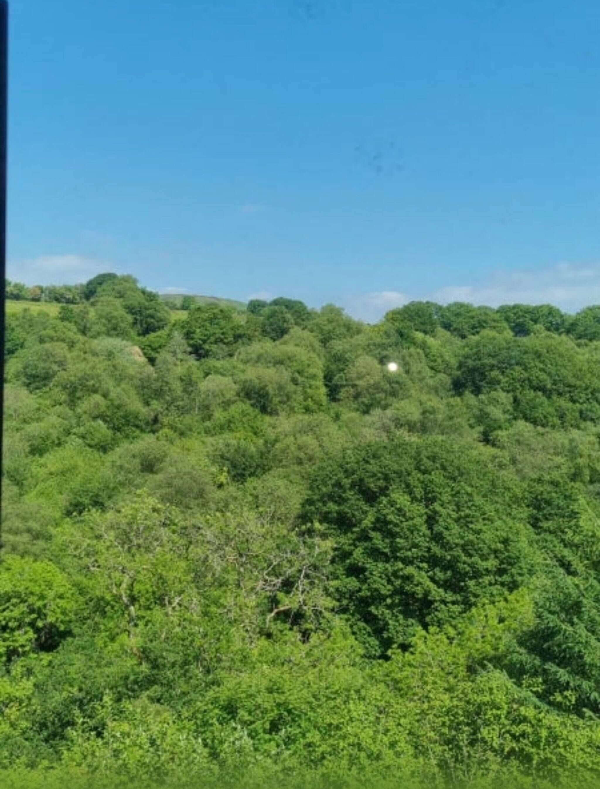 Shared Dormitory, 1 Bedroom, Garden View | Garden