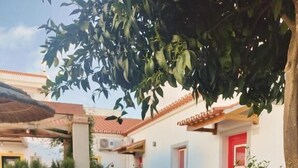 Ein Innenhof mit weißer Mauer, einer roten Tür und einem Baum, der Schatten spendet.
