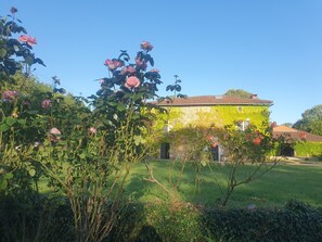Property grounds - Charming 15th-century Charentais house with Cluniac priory in grounds. (Cherves-Chatelars)