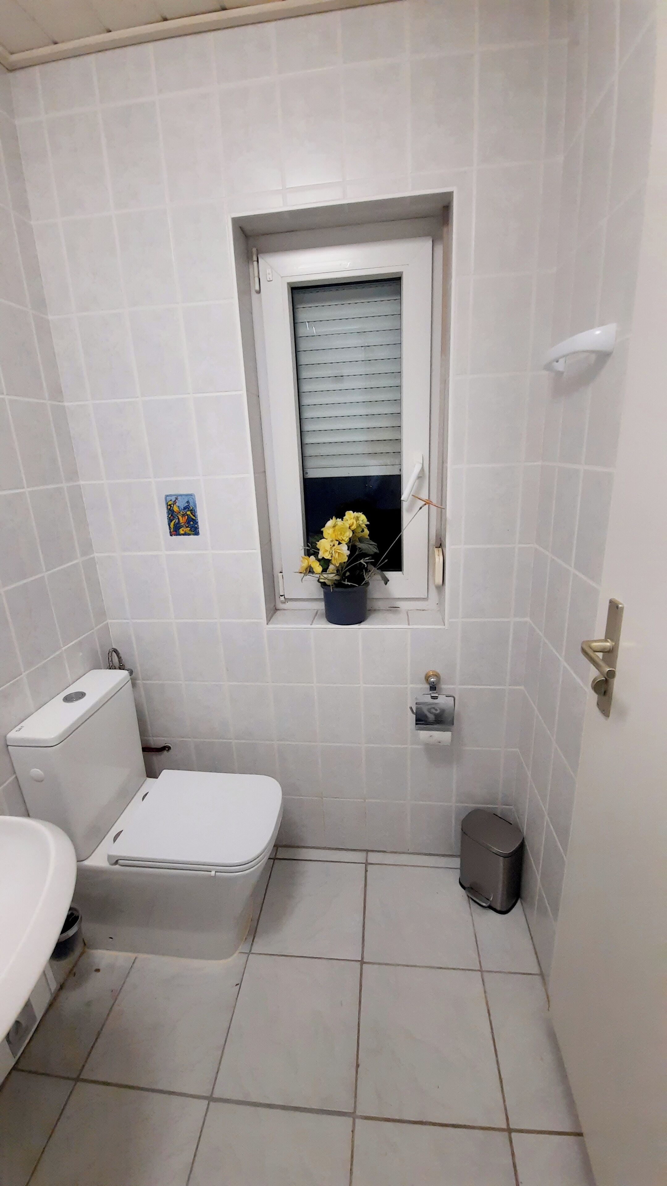 Shower, hair dryer, soap, toilet paper