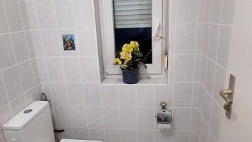 Shower, hair dryer, soap, toilet paper