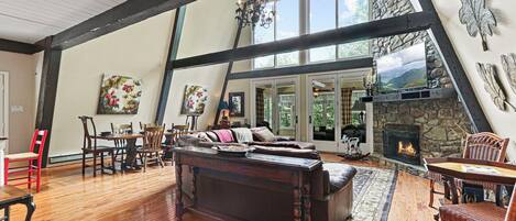 Smart TV, fireplace, books