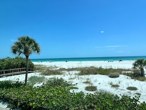 A beach with white sand, a wooden boardwalk, and a palm tree. - 1017 - Premium - Beach Front (Siesta Key)