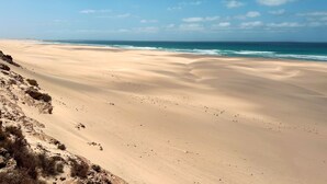 A vast sandy beach with gentle waves, clear skies, and sparse vegetation.
