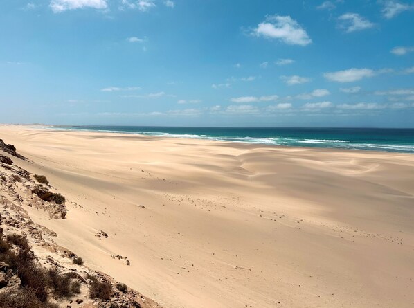 Ein weiter Sandstrand mit sanften Wellen, blauem Himmel und vereinzelter Vegetation.