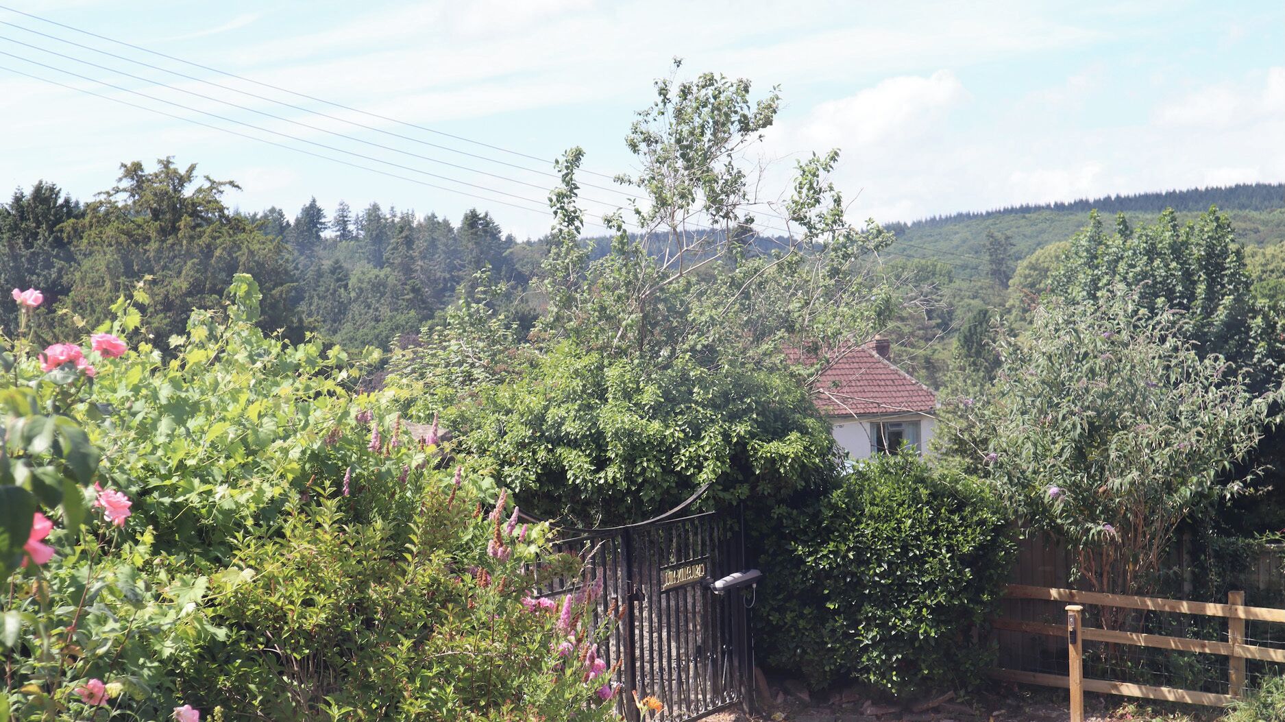 A rural house surrounded by dense vegetation and a wooden fence.