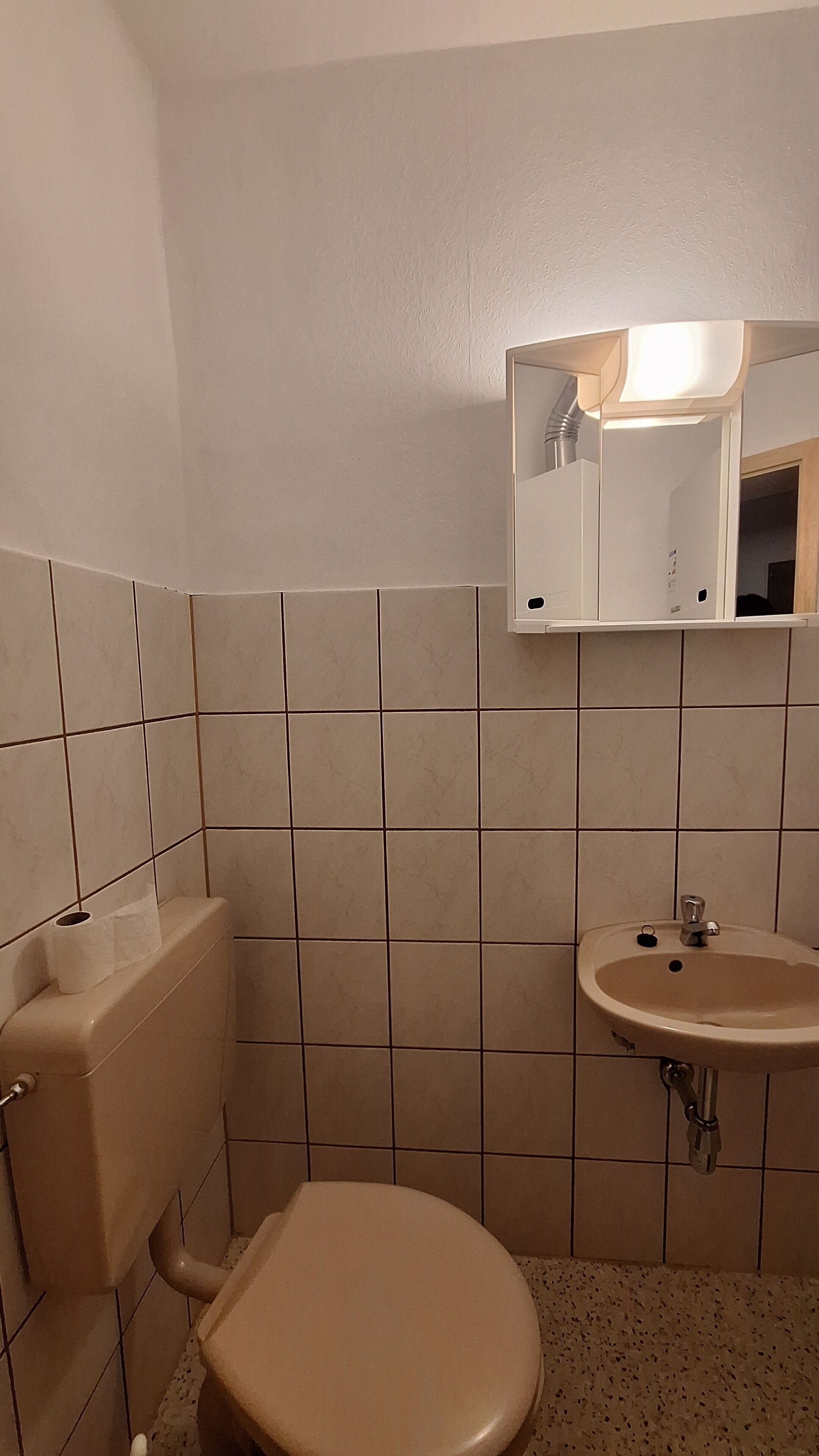 Un bagno con il water, un lavandino e uno specchio.