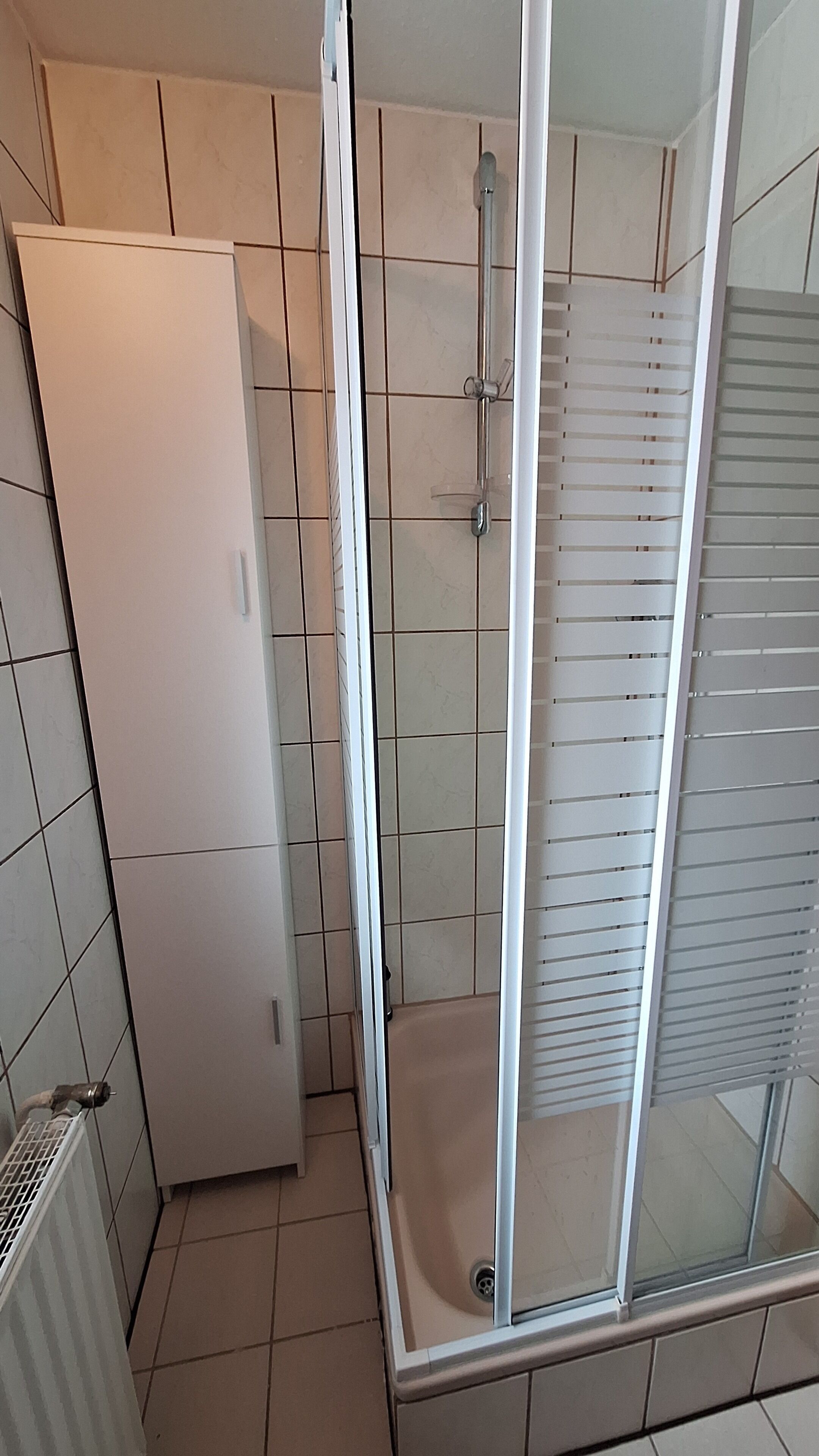 Shower, towels, toilet paper