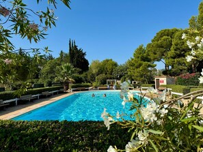 A swimming pool surrounded by lush greenery and trees.