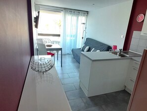 Télévision