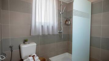 Shower, hair dryer, towels, shampoo