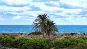 Une plage avec une promenade en bois, des palmiers et l’océan.