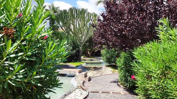 Un sentier de jardin bordé de différentes plantes et agrémenté d’un petit élément décoratif aquatique.