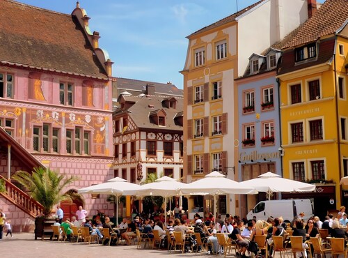 Relax and Explore Alsace at the "Les Mésanges Vertes" Gîte near Mulhouse