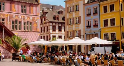 Relax and Explore Alsace at the "Les Mésanges Vertes" Gßte near Mulhouse