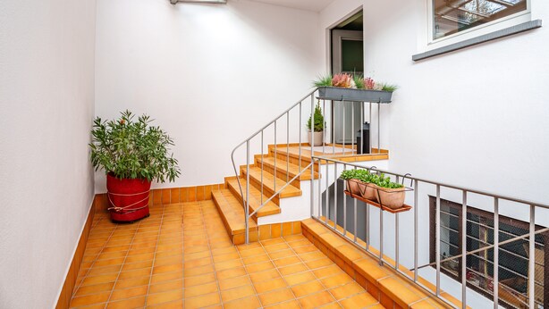 Una escalera con barandilla de metal, plantas en macetas y una ventana.