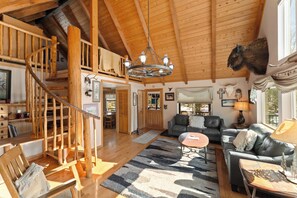 TV, fireplace, books
