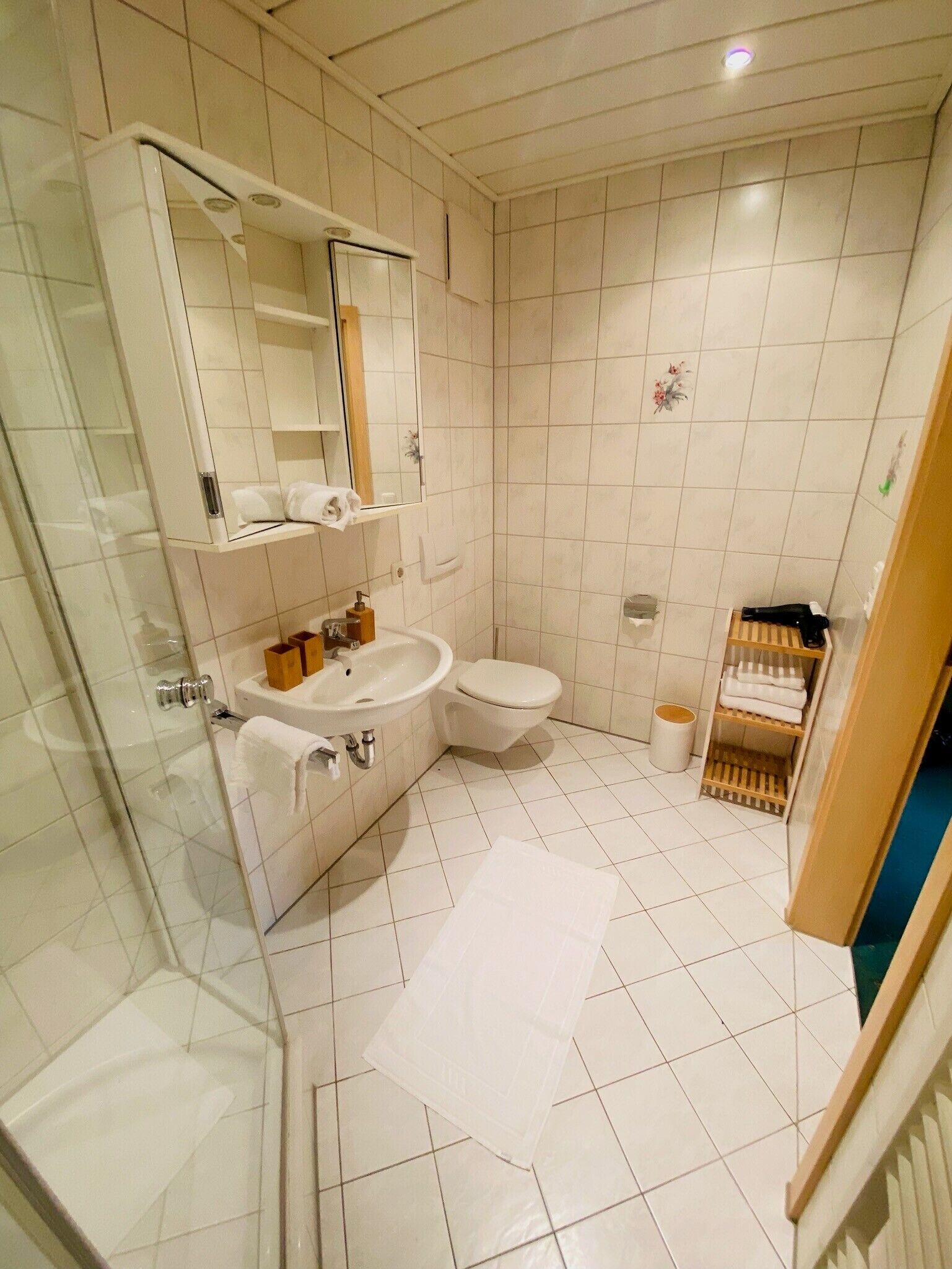 Shower, hair dryer, towels