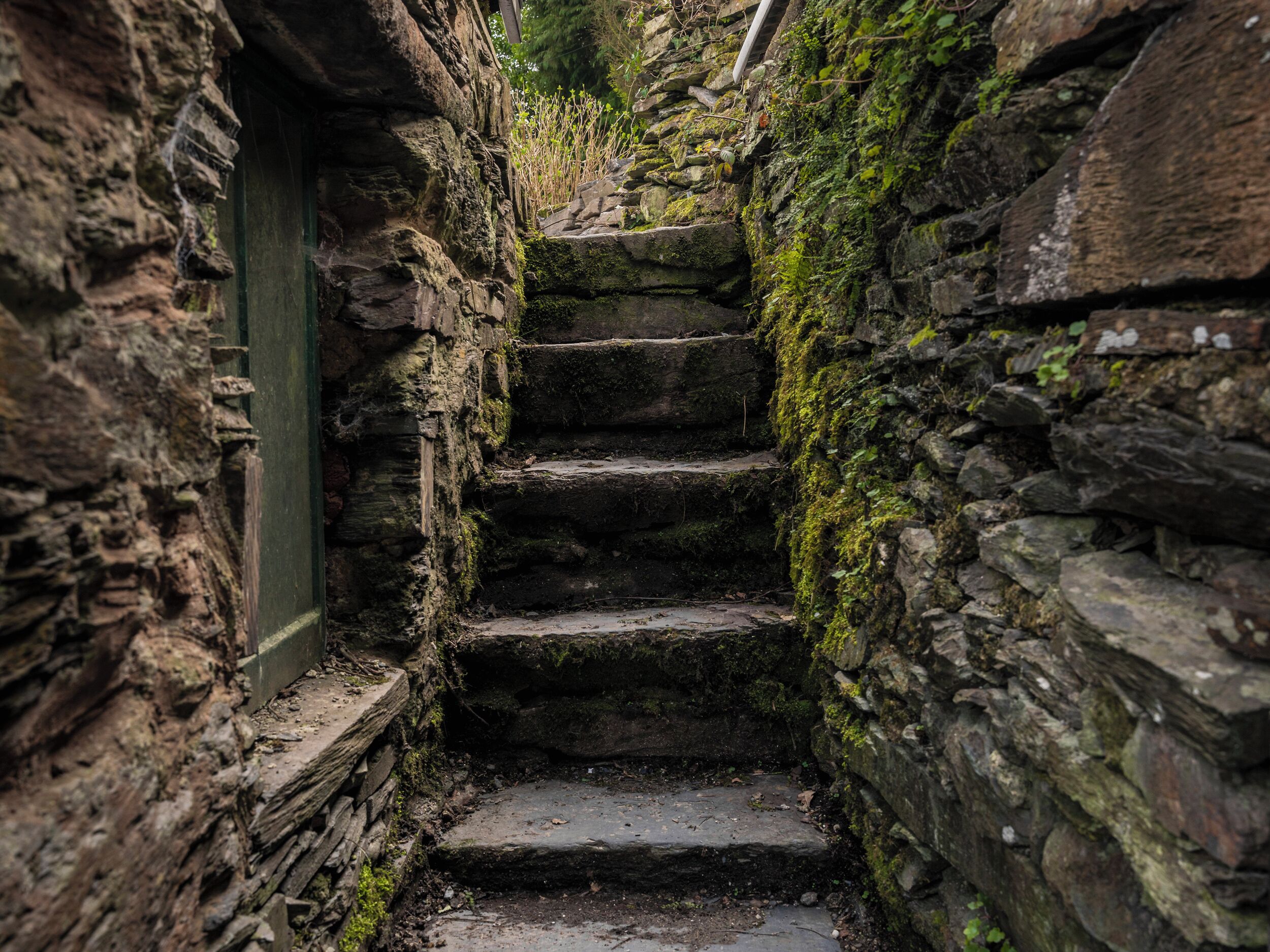 Cottage | Property grounds