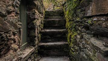 Cottage | Property grounds