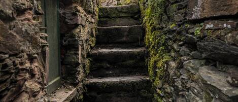 코티지 | 숙박 시설 구내