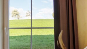 A window view of a grassy field with trees, curtains partially drawn, and a window frame. - Dog-Friendly Apartment H1 005 (Spalt)