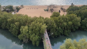 Luchtbeeld van een strand met helder uitzicht op de zee, omgeven door weelderige begroeiing.