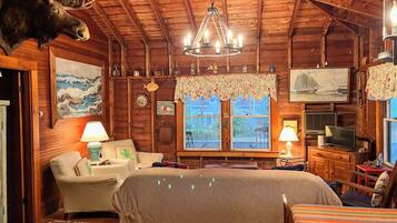 TV connectée, cheminée, livres