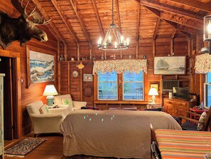 Smart TV, fireplace, books