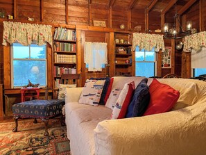 Smart TV, fireplace, books