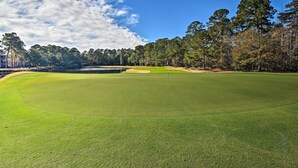 En golfbane med klart skinnende himmel, en sø og en række træer i baggrunden.