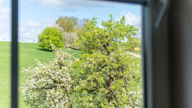 A view through a window of a green landscape with trees and a clear sky. - Apartment with Garden View K1 206 (Spalt)
