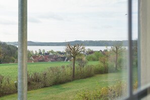 Une vue sur un lac, avec des maisons en arrière-plan, une zone herbeuse au premier plan et un arbre.