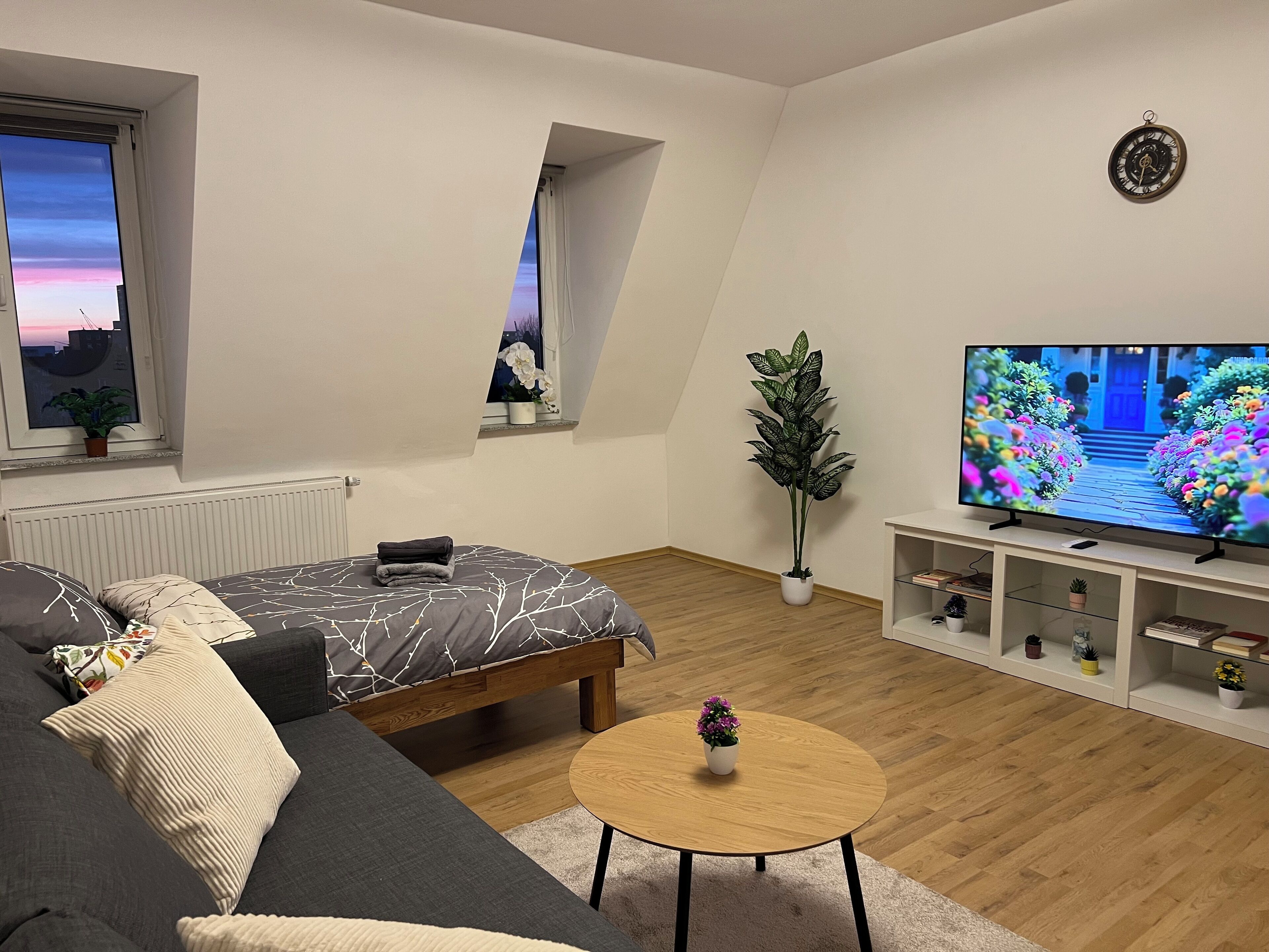 Smart-TV