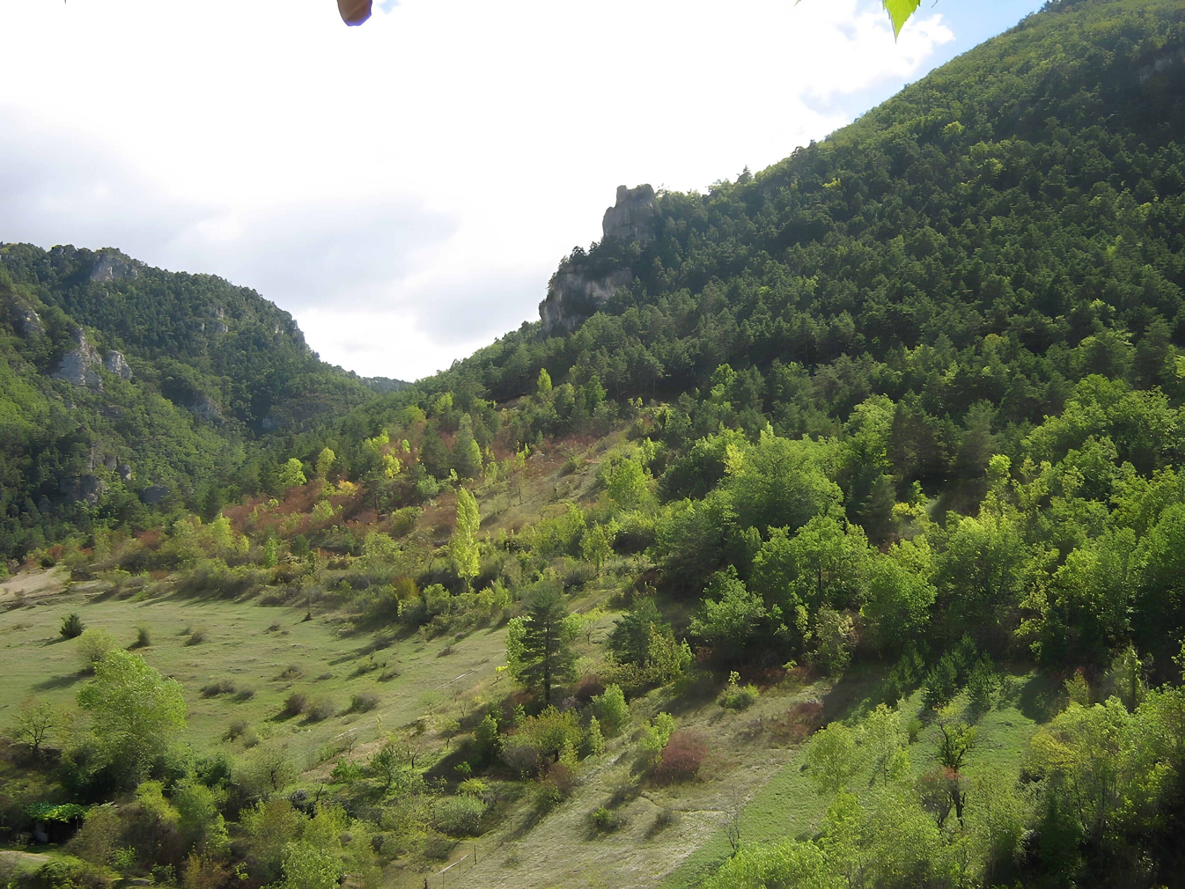Eine bergige Landschaft mit üppiger Vegetation und blauem Himmel.
