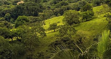 #46 Quetzal Casita by Waiting2Exhale