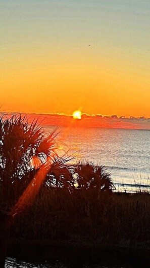 Miscellaneous - 1 BR Direct Oceanfront Condo| Myrtle Beach Resort B0204 (Myrtle Beach)