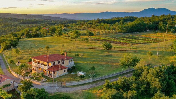 A large, two-story house with a red roof, surrounded by a well-maintained garden and vineyard. - Solitude in Ružići - Istrien / Solitude in Ružići - Appartement für 4 Personen (Ružići)