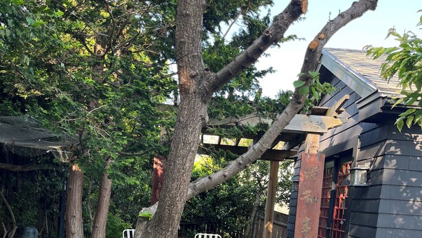 Un jardín con un sendero de piedra, una pérgola de madera y una mesa con sillas.