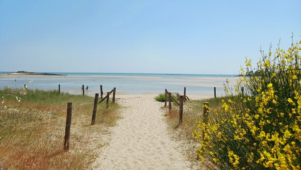 Ein sandiger Pfad am Strand, der zum Meer führt, unter einem klaren Himmel.
