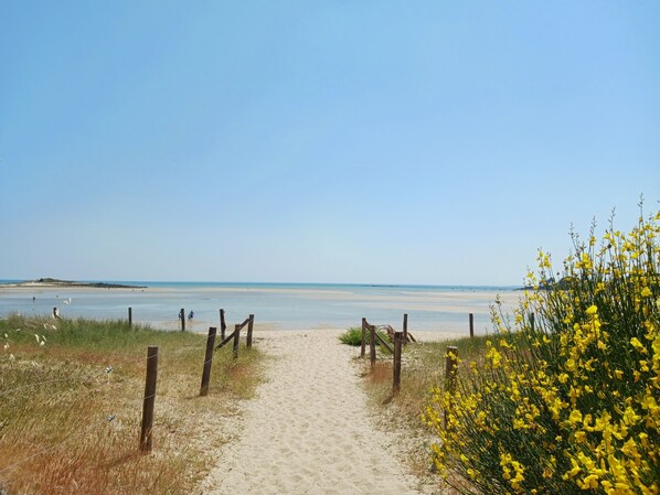 Am Strand