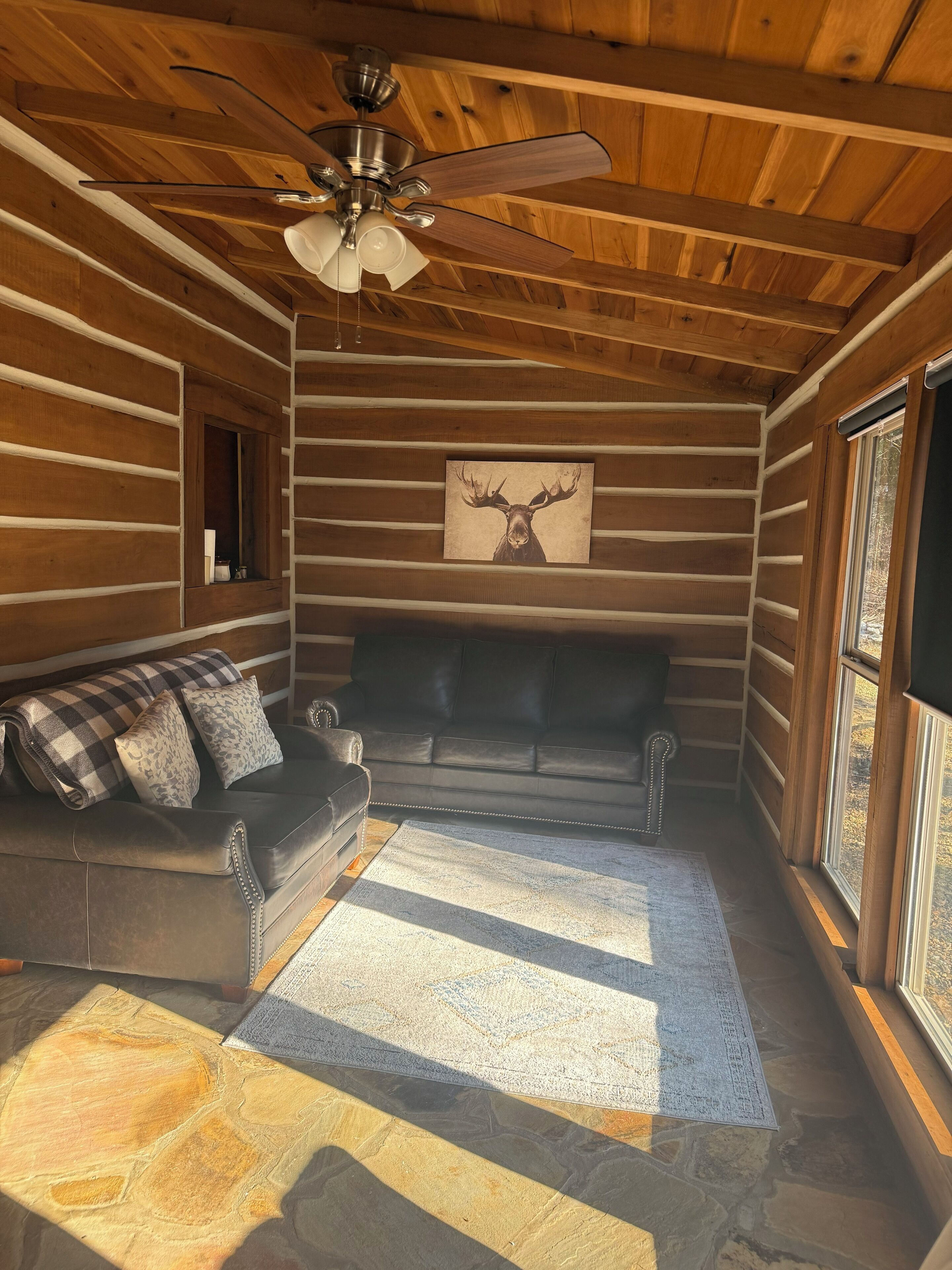 Télévision, cheminée